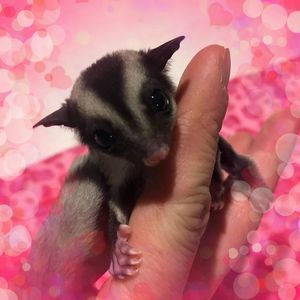 Meet your Posher, Tina